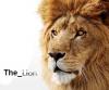 the_lion